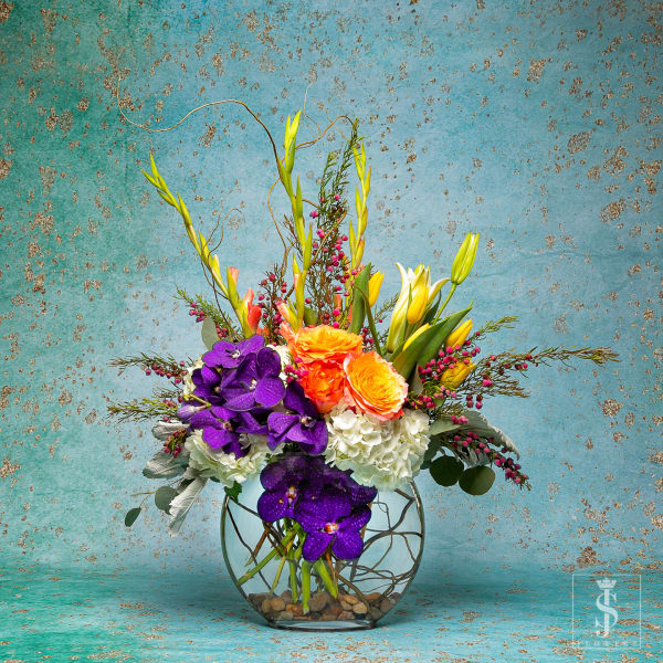 Modern Designers Choice Mix