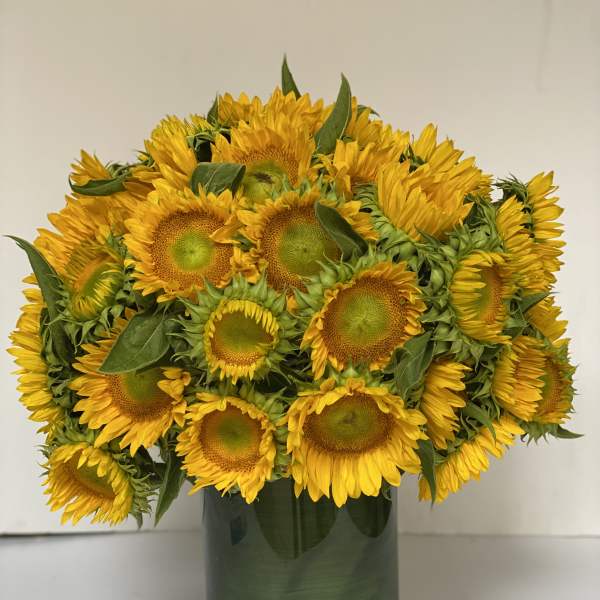 UKRAINE "THE SUNFLOWER"