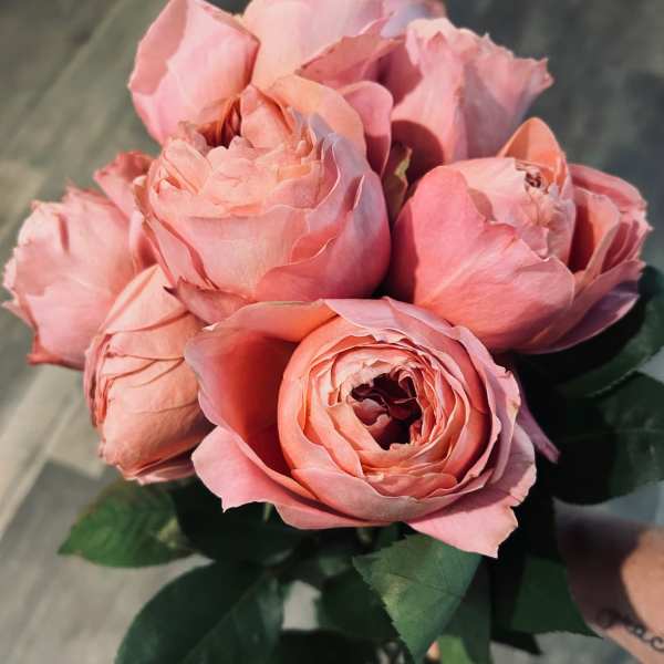 1 Dozen fresh cut Garden Roses