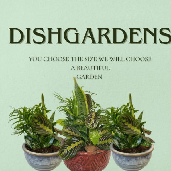 Dishgarden