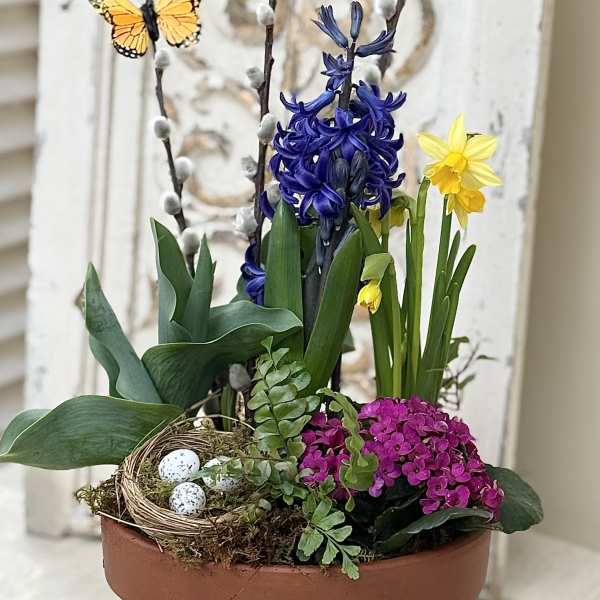 Easter Bulb Garden