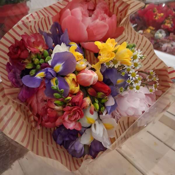 Spring mix of peonies, irises, freesia, tulips and daises in a wrap