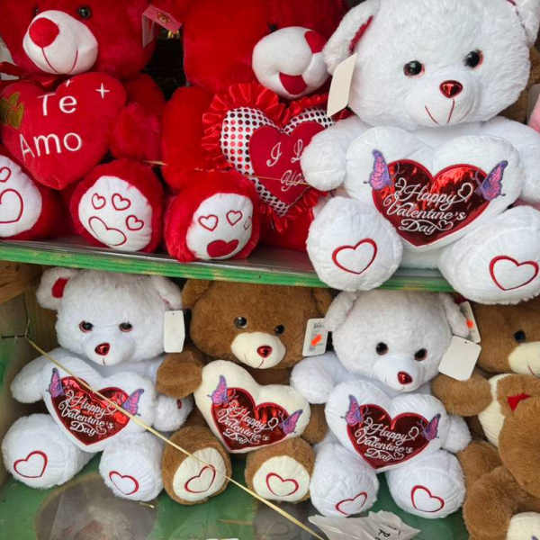 Valentine’s Day Teddy Bear ️(medium)