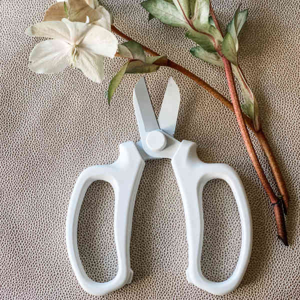 Flower Snips