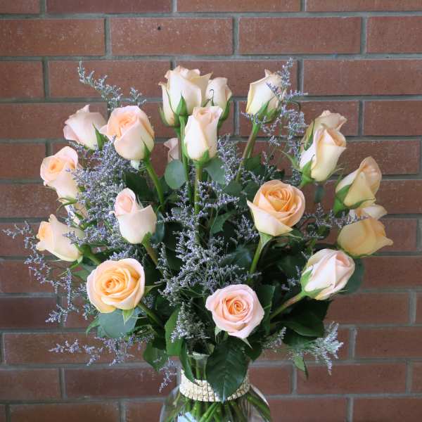 1 Dozen Peach Roses