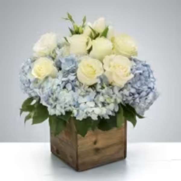 Coastal Cube Arrangement