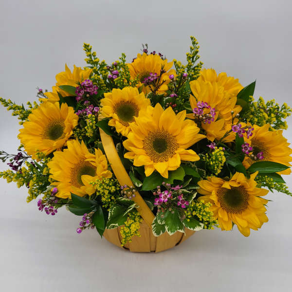 10 Hours of Sunshine