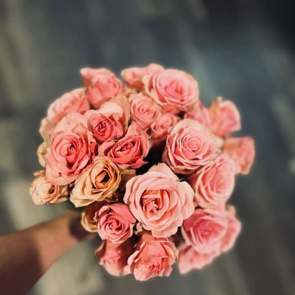 You Pick Color Garden Spray Roses