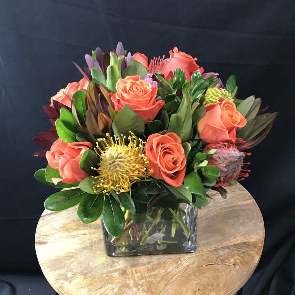 Bold, Bright, and Beautiful