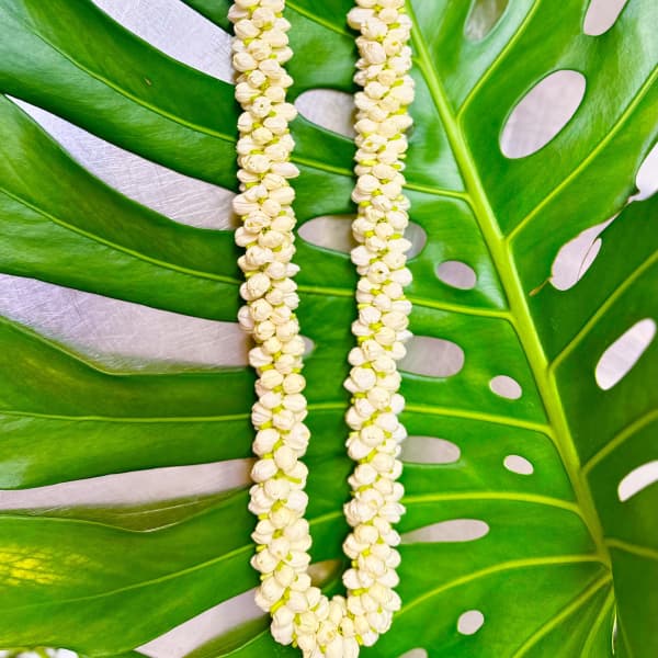 Pikake Rope Lei