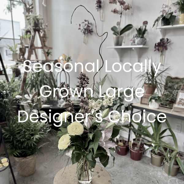 Seasonal Locally Grown Large Designer's Choice