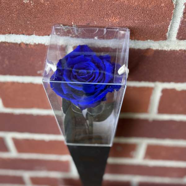 Preserved Blue Velvet Single Rose