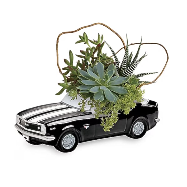 Chevy Camaro Plant Garden