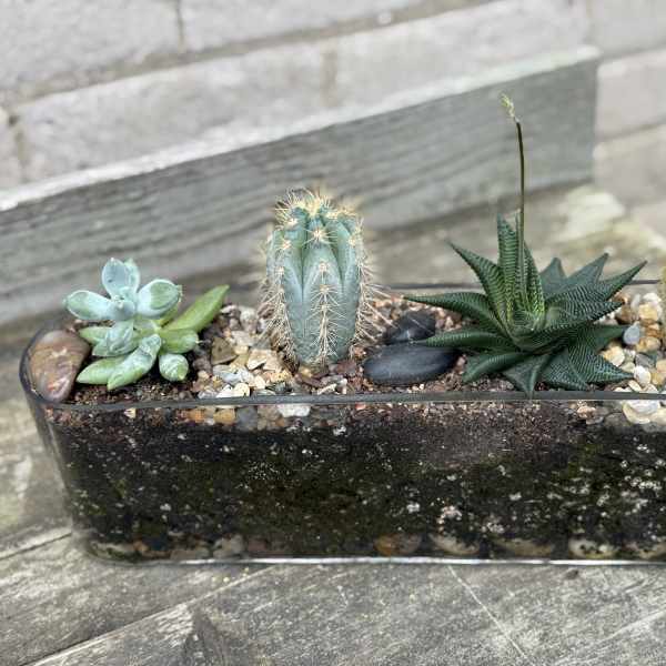Desert Planter