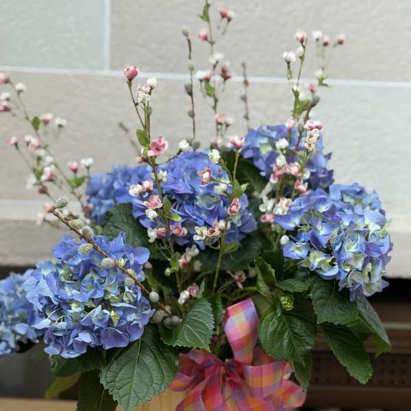 Fancy Blue Hydrangea