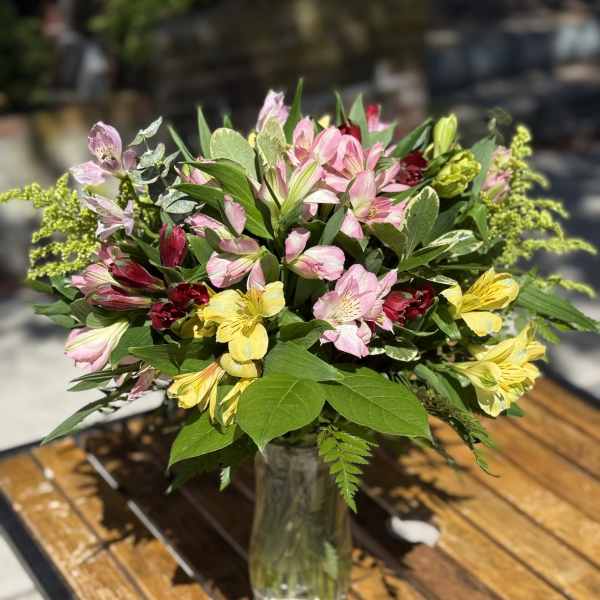 Lily of the Incas (LONG LASTING)