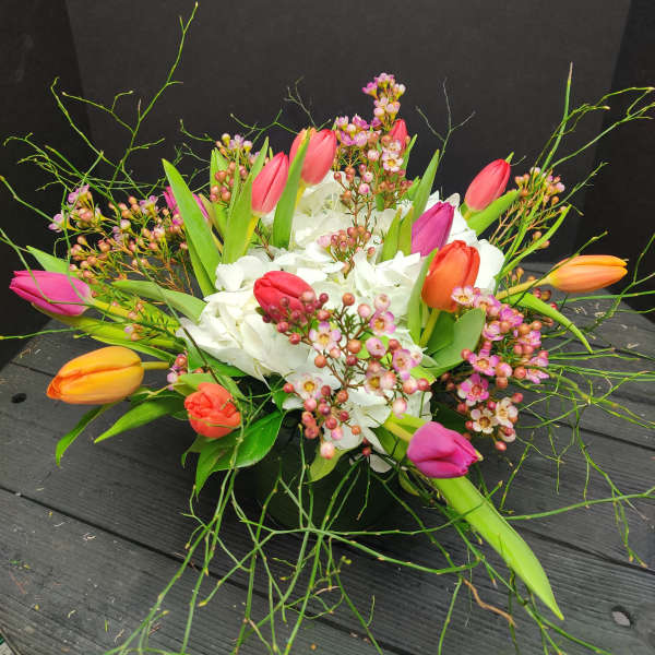 Tulips Extraordinaire