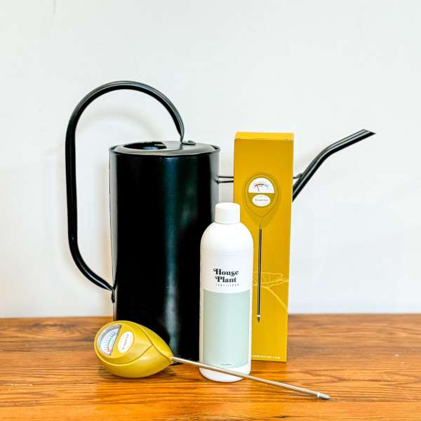 Plant care set with black watering can, white fertilizer bottle, and yellow soil moisture meter on a wood surface