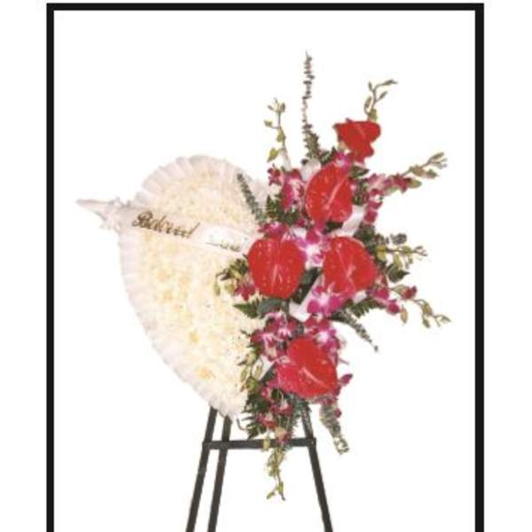 Our Love Exotic Heart