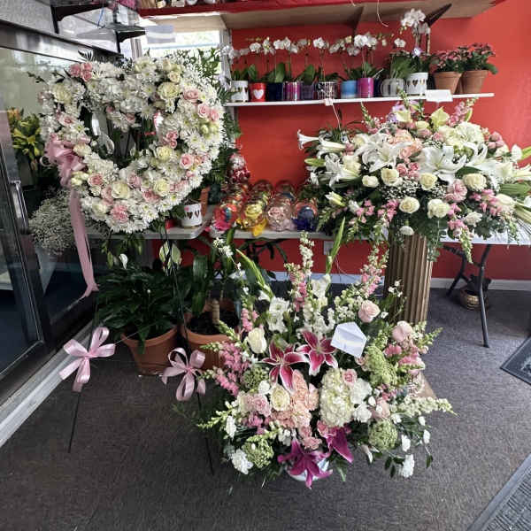 Sympathy Collection Set