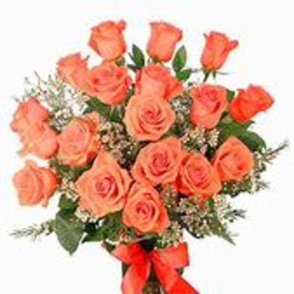 Orange Roses