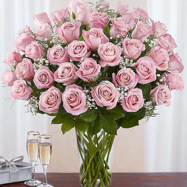 Couture Roses - 50 Blooms Of Perfection