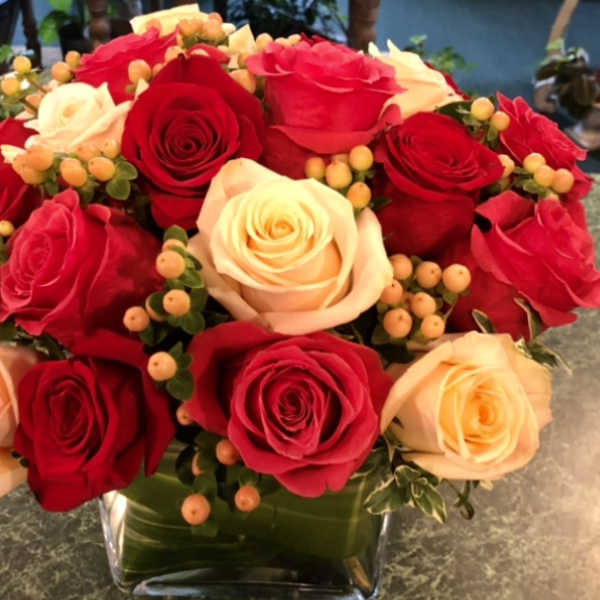 Compact arrangement of red and cream roses with peach berries in a clear glass cube vase