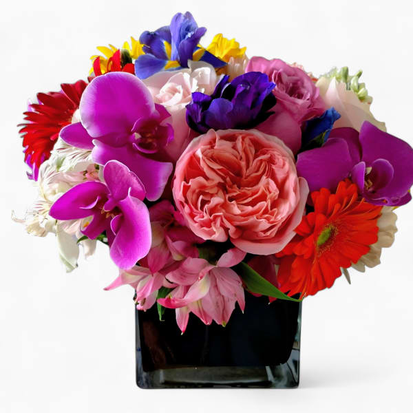 Colorful mixed bouquet of pink roses, purple orchids, and bright blooms in a black glass cube vase