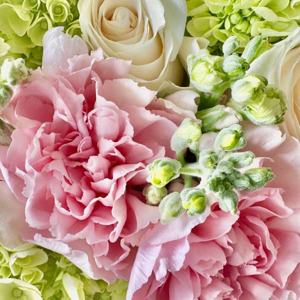 Spring Assorted - Florist's Choice
