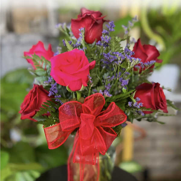 Fuchsia Pink & Red Roses