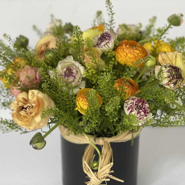 THE GREEN BELL RANUNCULOS