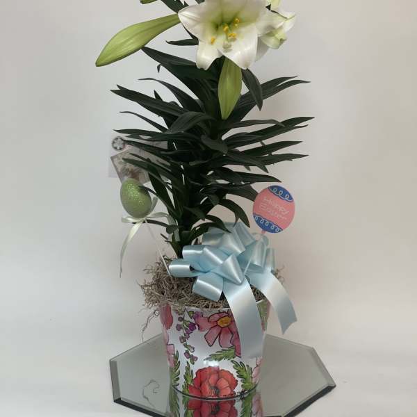Single Easter Lily