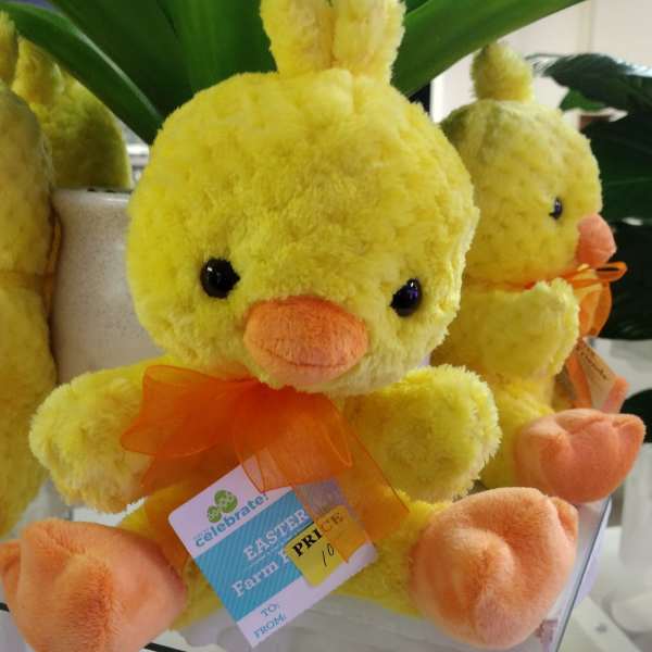 Yellow plush chick with orange beak and feet sitting on a glass shelf