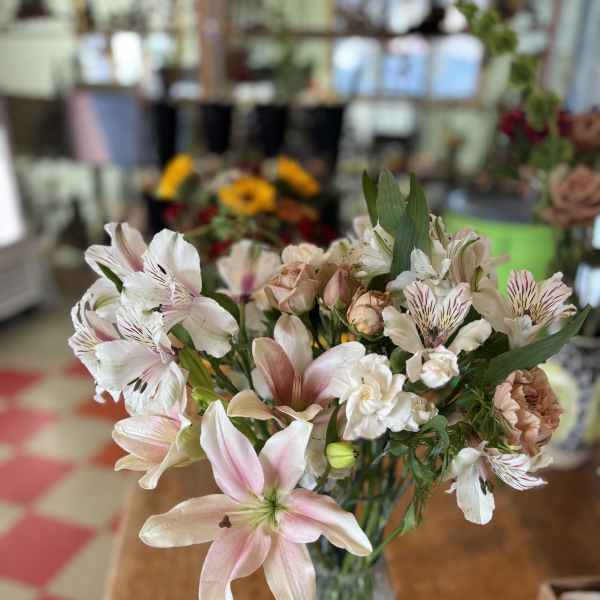 A Season of Connecting ! Gift 3-Month Stunning Subscription