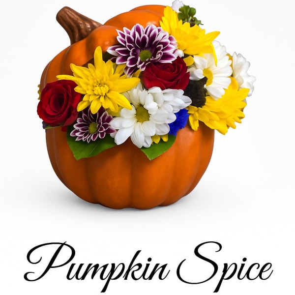 Pumpki Spice