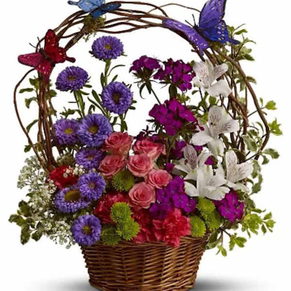 BUTTERFLY BASKET