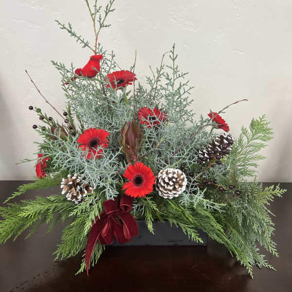 The Woodland Red Robin