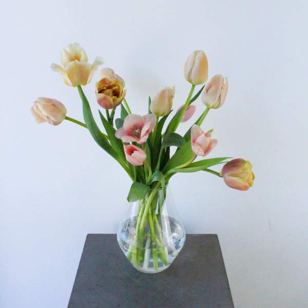 Tulip Mix