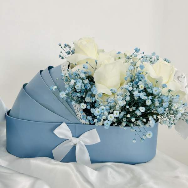 Welcome Baby boy blue