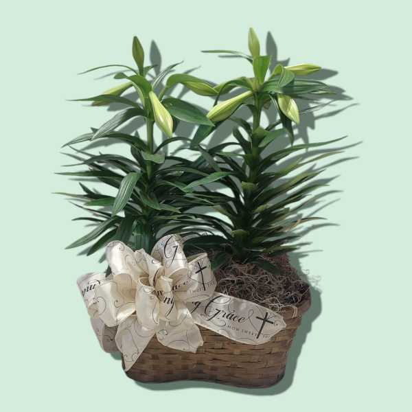 Double Easter Lily Basket