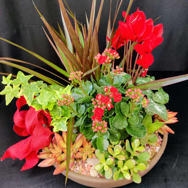 Large Blooming Succulent Garden