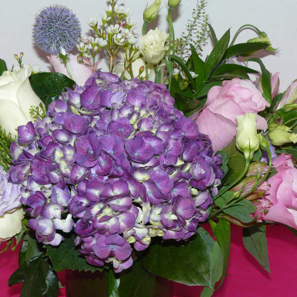 Dual Arrangement ( May Not Be Available for Same Day)