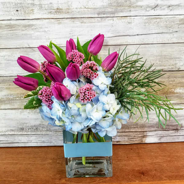 Tulips and Hydrangea