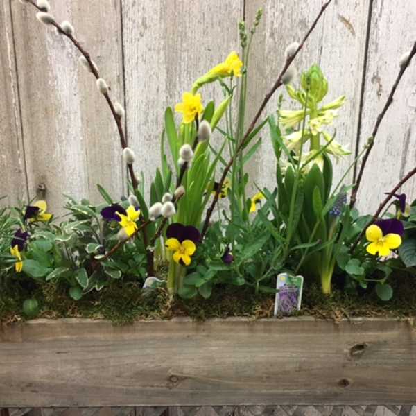 Rustic box of Spring Centerpiece