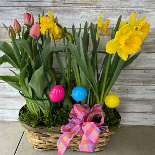 Spring Bulb Basket