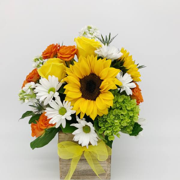 Bright mixed arrangement with sunflower, yellow roses, white daisies, and green hydrangea in a wood box with yellow bow