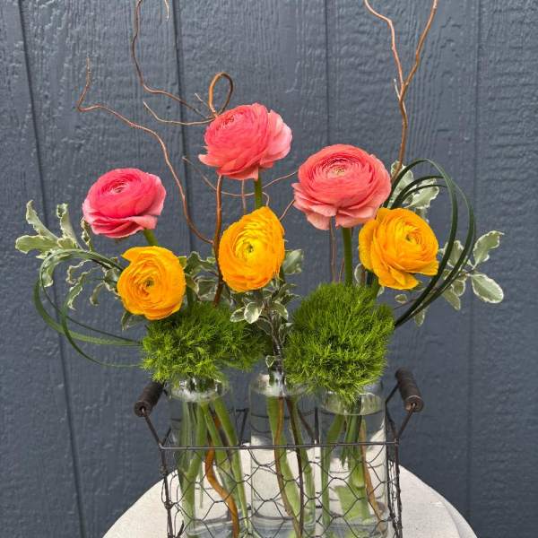 Dancing Ranunculus