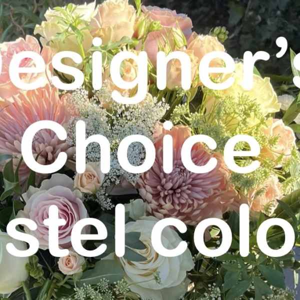 Designer's Choice Pastel Edition