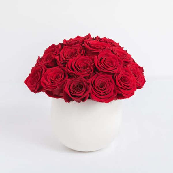 Red Preserved Roses - Lasts a full year