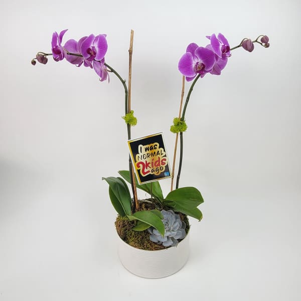 I was normal two kids ago